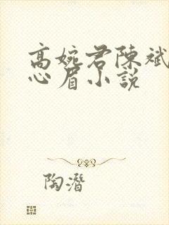 高婉君陈斌和赵心眉小说