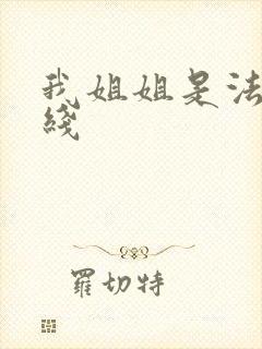 我姐姐是法官在线封面