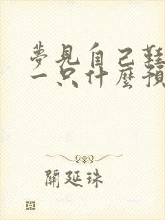 梦见自己鞋丢了一只什么预兆