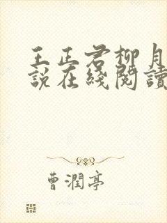 王正君柳月瑶小说在线阅读全文