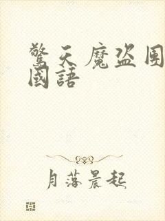 惊天魔盗团2 国语