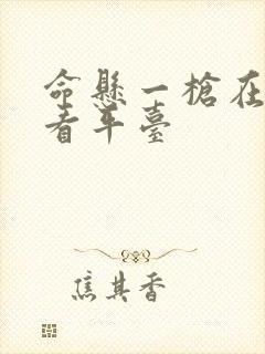 命悬一枪在线观看平台封面