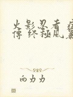 火影忍者 疾风传 终极风暴封面