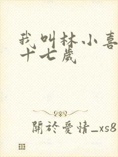 我叫林小喜今年十七岁封面