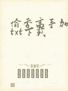 偷香高手加料版txt下载