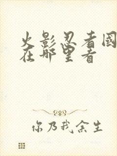 火影忍者国语版在哪里看