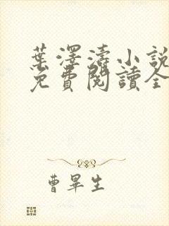 叶泽涛小说全文免费阅读全文封面