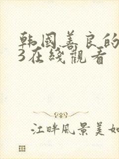 韩国善良的嫂子3在线观看封面