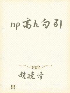 np高h勾引