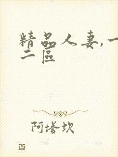 精品人妻,一区二区