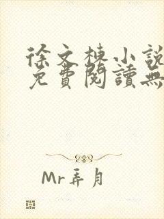 徐文栋小说全文免费阅读无弹窗