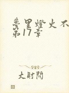 梦里灯火不渡我第17章