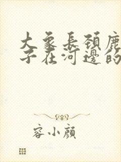 大象长颈鹿小兔子在河边的看图故事