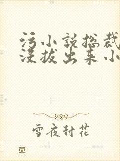 污小说总裁整夜没拔出来小说在线阅读