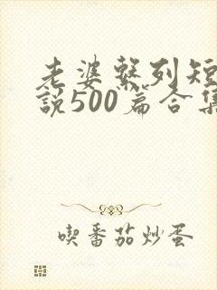 老婆系列短篇小说500篇合集