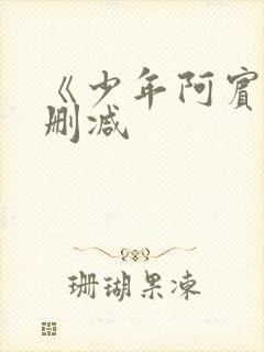 《少年阿宾》无删减封面