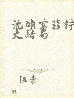 沈明宴薛柠林菀大结局封面