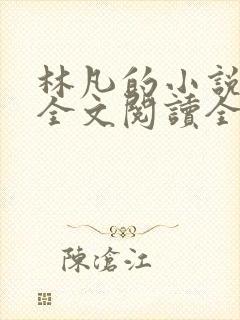 林凡的小说免费全文阅读全文