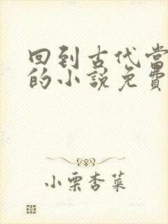 回到古代当太子的小说免费阅读