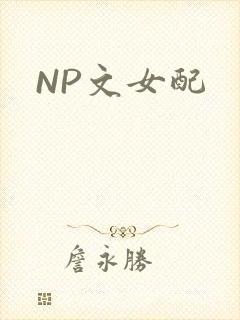 NP文女配