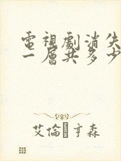 电视剧消失的十一层共多少集