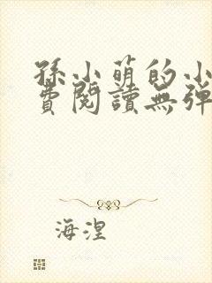 孙小萌的小说免费阅读无弹窗