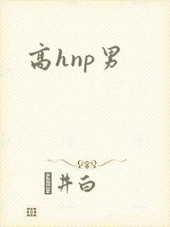 高hnp男