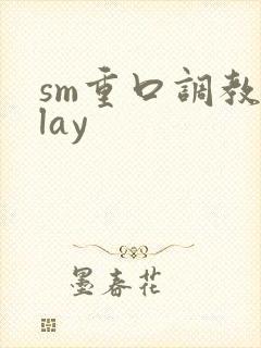sm重口调教play