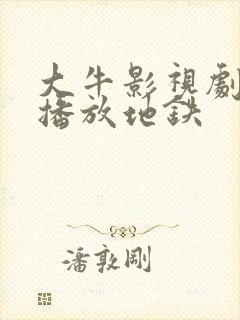 大牛影视剧免费播放地铁