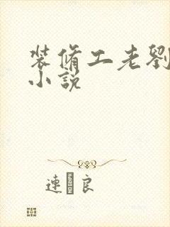 装修工老刘林雪小说