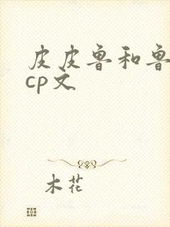 皮皮鲁和鲁西西cp文封面