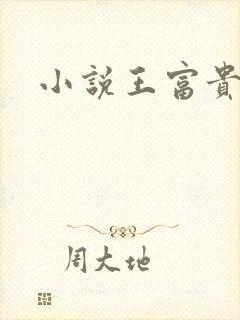 小说王富贵陈芸封面