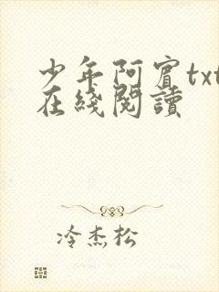 少年阿宾txt在线阅读