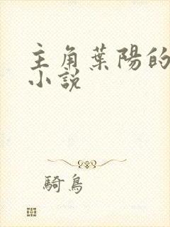 主角叶阳的官场小说封面