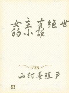 女主有绝世美貌的小说封面