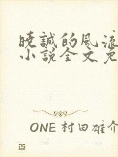 晓诚的风流人生小说全文免费阅读最