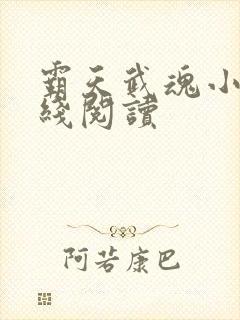 霸天武魂小说在线阅读