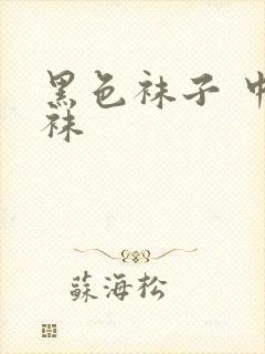 黑色袜子 中筒袜