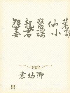 怨龙医仙叶楚,姜君瑶 小说