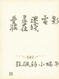 爱寻迷电影完整版在线