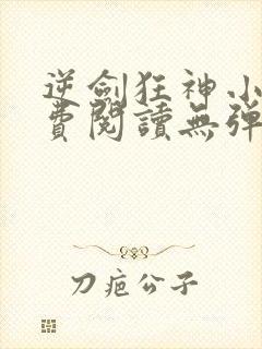 逆剑狂神小说免费阅读无弹窗封面