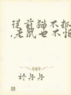 从前猫不抓老鼠,老鼠也不怕猫续写