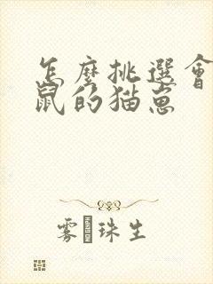 怎么挑选会抓老鼠的猫崽封面