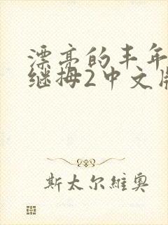 漂亮的丰年经的继拇2中文版封面