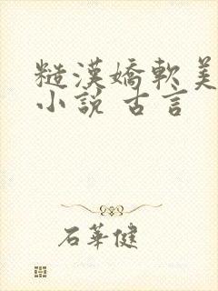 糙汉娇软美人的小说 古言