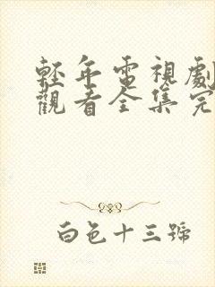 轻年电视剧免费观看全集完整版高清封面