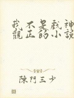 我不是戏神是三观正的小说吗