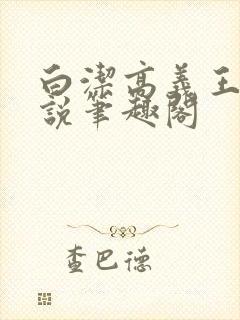 白洁高义王申小说笔趣阁