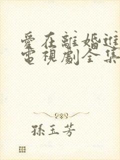 爱在离婚进行时电视剧全集免费观看封面