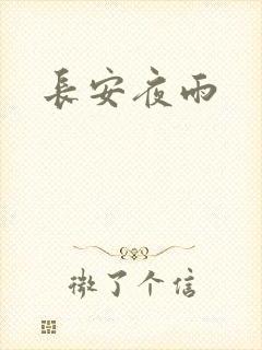 长安夜雨